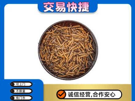 白山回收散虫草